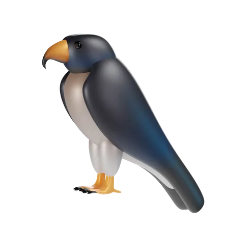 Falcon  3D Icon