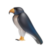 3d falcon emoji