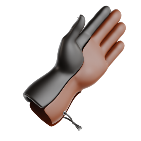 Falconry Glove  3D Icon