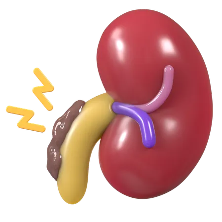 Insuficiência renal  3D Icon