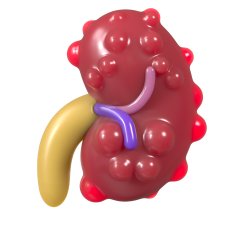 Falência renal  3D Icon