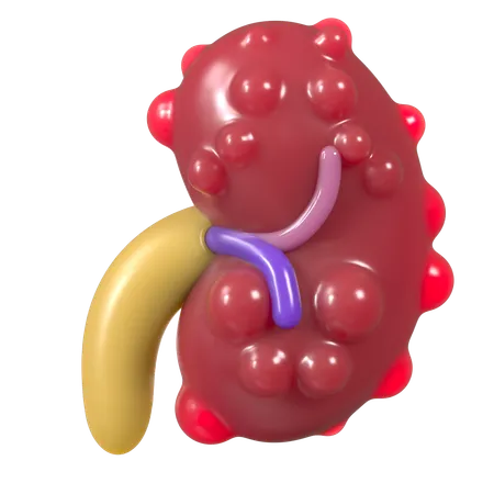 Falência renal  3D Icon