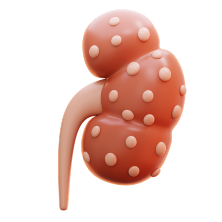 Falência renal  3D Icon