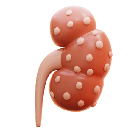 Falência renal  3D Icon