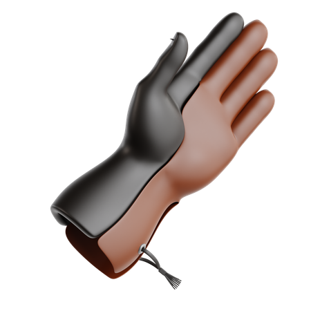 Falknerei Handschuh  3D Icon