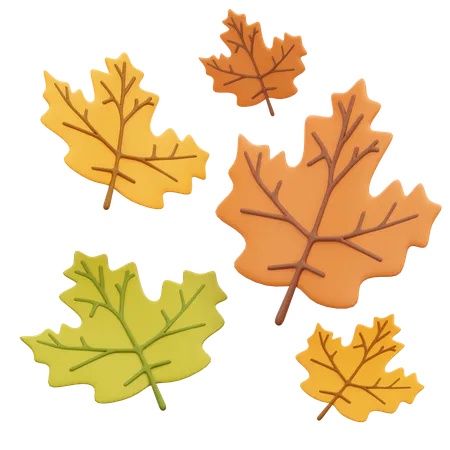 Fallen Oak Leaves  3D Icon