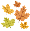 Fallen Oak Leaves