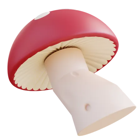 Fantasy Mushrooms  3D Icon