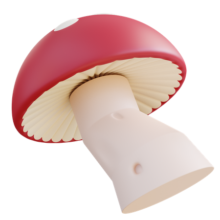 Fantasy Mushrooms  3D Icon