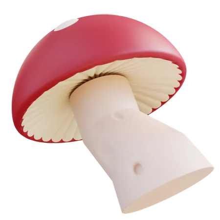 3 D Illustration Fantasy Mushrooms 3D Icon