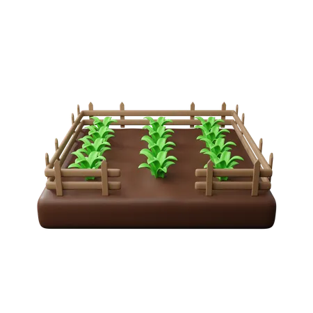 Farm Fields Download This Item Now 3D Icon