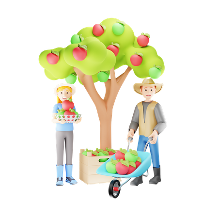 Farmer Couple Harvesting Apple  3D Illustration