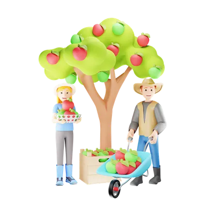 Farmer Couple Harvesting Apple  3D Illustration