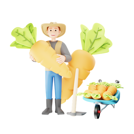 Farmer Harvesting Root Crops  3D Illustration