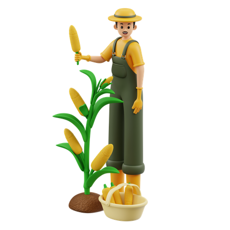 Farmer Is Harvesting Corn  3D Illustration