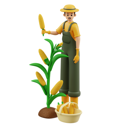 Farmer Is Harvesting Corn  3D Icon