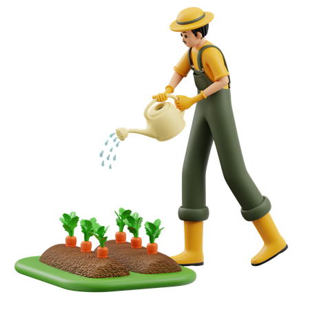 Farmer Is Watering Carrots  3D Illustration