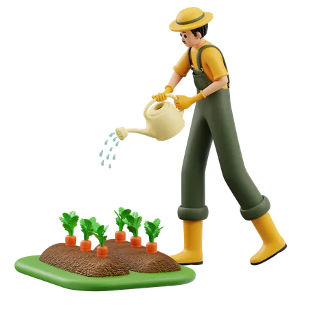 Farmer Is Watering Carrots  3D Illustration