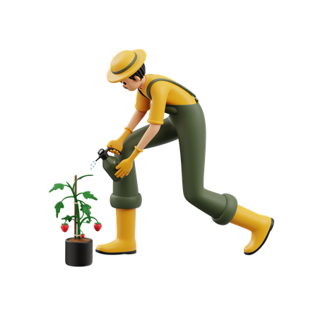Farmers Spray Strawberry With Herbicide  3D Icon