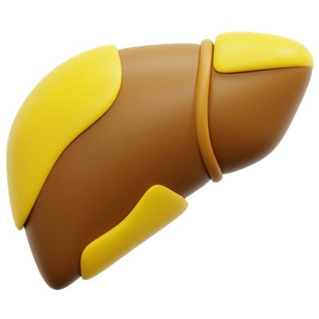 Fatty liver  3D Icon