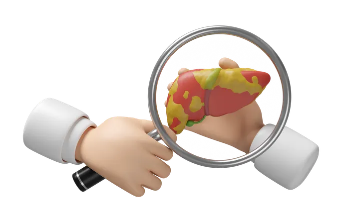 Fatty Liver  3D Icon