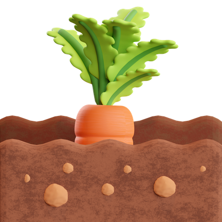 Fazenda de cenoura  3D Illustration