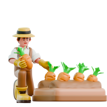 Fazendeiro plantando crrots  3D Icon