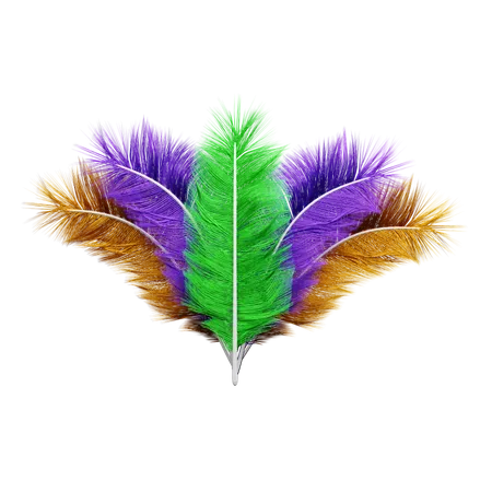 Feathers  3D Icon