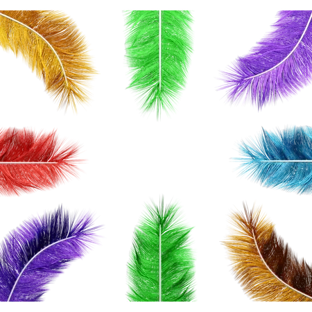 Feathers  3D Icon