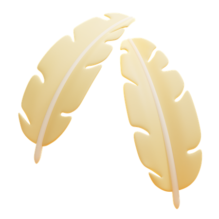 FEATHERS  3D Icon