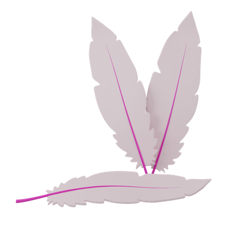 Feathers  3D Icon