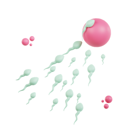 Fertilisation  3D Icon