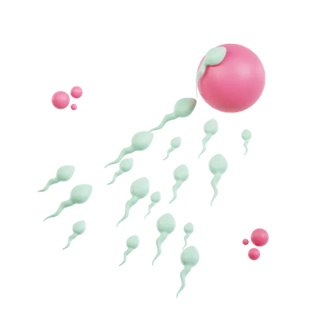 Fertilisation  3D Icon
