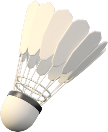 Federball  3D Icon