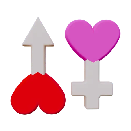 Female and Male  3D Icon