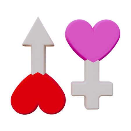 Female and Male  3D Icon