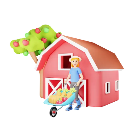 Female Farmer Pushing Wheelbarrow with Harvest of Vegetables  3D Illustration