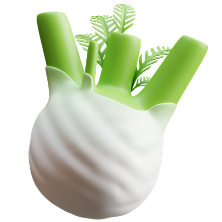 Fennel  3D Icon