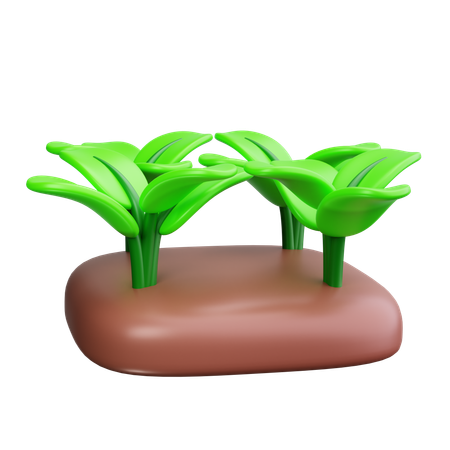 Champ agricole  3D Icon