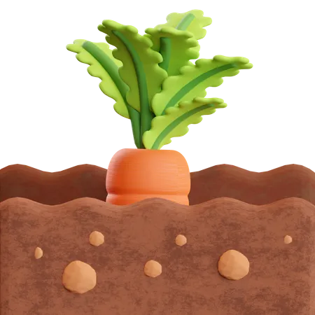 Ferme de carottes  3D Illustration