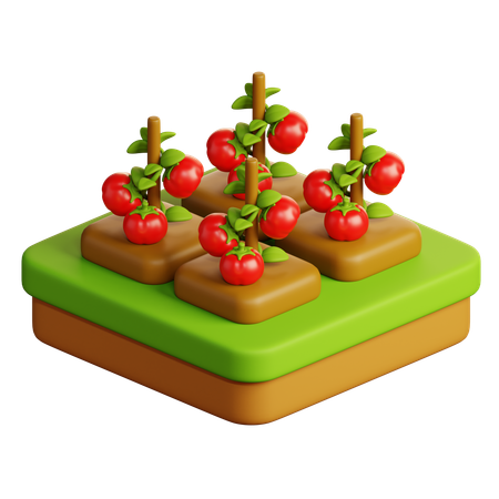 Ferme de tomates  3D Icon