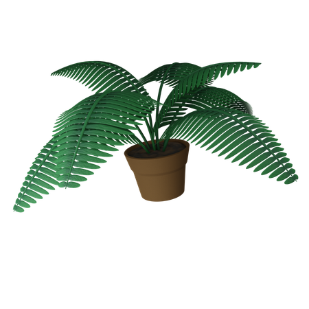 Fern Pot  3D Icon