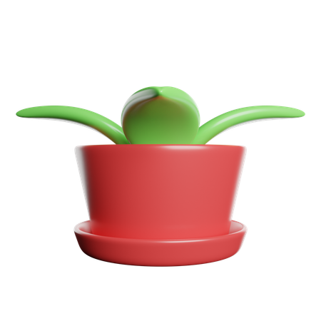 Fern Pot  3D Icon