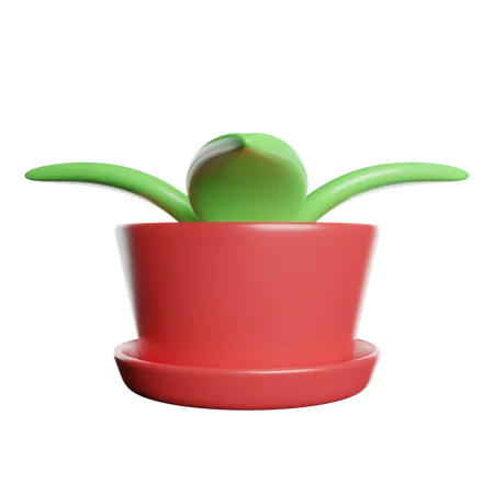 Fern Pot  3D Icon