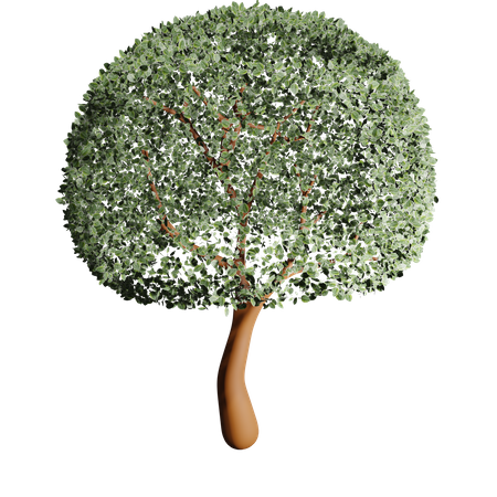 Fertile Tree  3D Icon