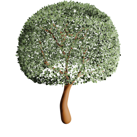 Fertile Tree  3D Icon