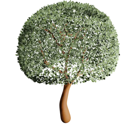 Big Tree Fertile State 3 D Design 3D Icon