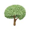 Fertile Tree