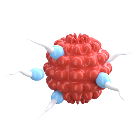 Fertilização de esperma  3D Icon