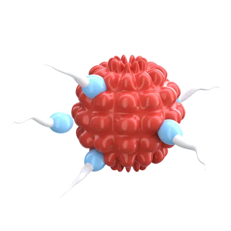 Fertilização de esperma  3D Icon